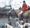 hunt12.jpg (36392 bytes)