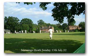Mannings Heath Cricket - Click to enlarge