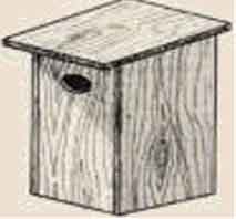 Nest Box Building Day