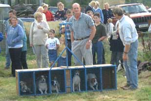Stuart Humber on the right at the starting gate
