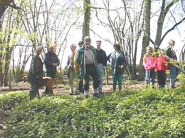 walkers.jpg (69622 bytes)