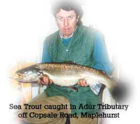 Dave Toye with a 10lb+ sea trout caught in Maplehurst
