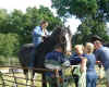 girlhorse.jpg (46730 bytes)