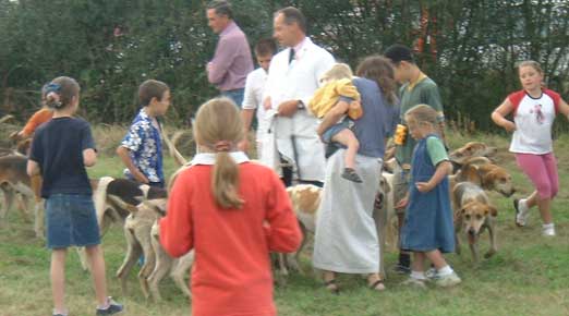 Crawley and Horsham foxhounds