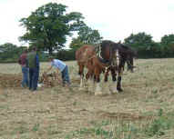 West Grinstead Ploughing Match 2001