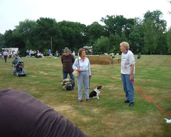 DSCF6142
