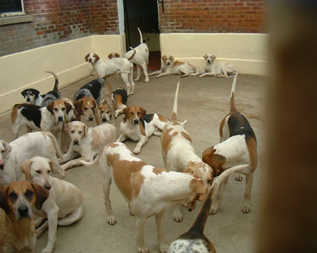 DSCF2437