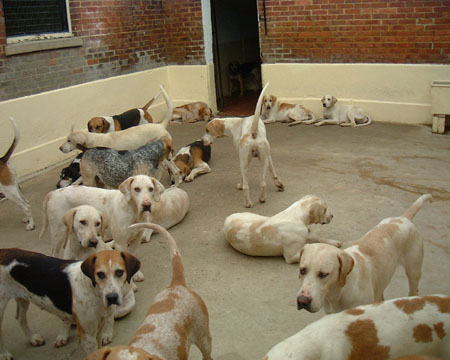 DSCF2438