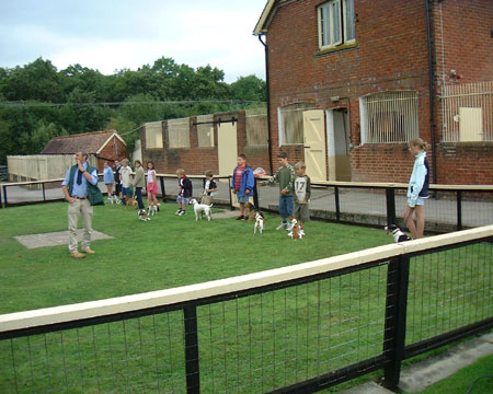 DSCF2446